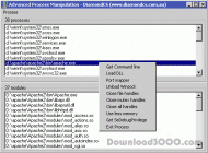 Advanced Process Manipulation screenshot